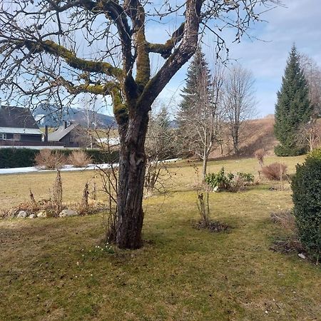 Ferienwohnung Salzafeld Bad Mitterndorf Exterior photo
