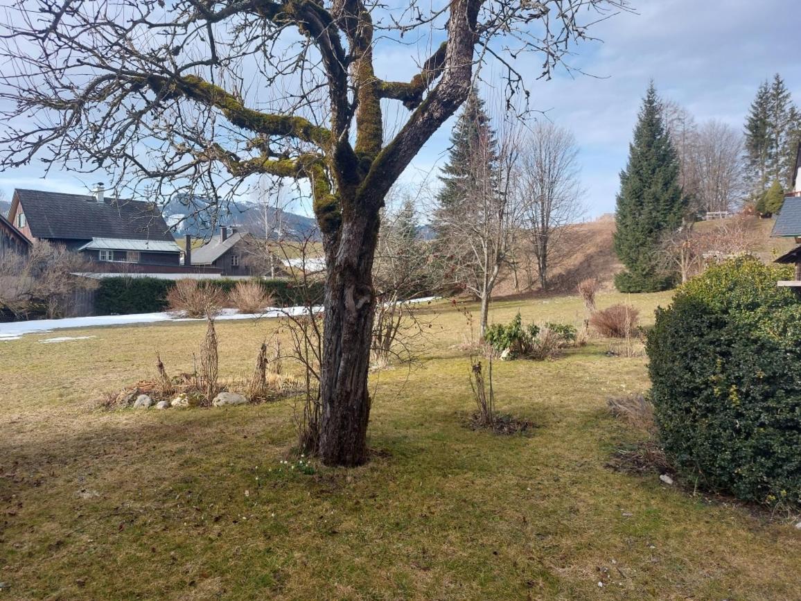 Ferienwohnung Salzafeld Bad Mitterndorf Exterior photo